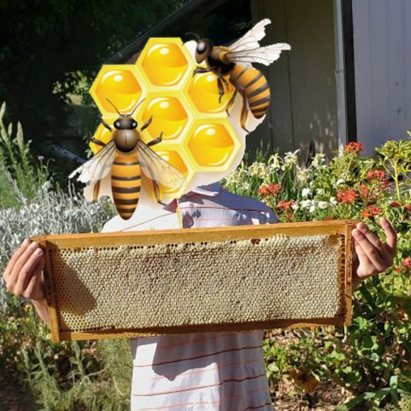 Meet your Posher, Zey - Picture 2 of 10